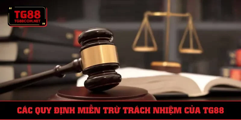 3 quy tắc cụ thể trong chính sách miễn trừ trách nhiệm